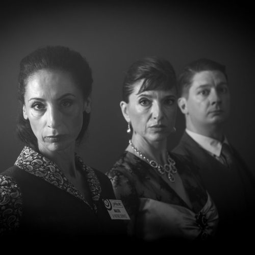 herve-louvet-photographe-saint-esteve-66-photo-identite-ants-portrait-mariage-grossesse-naissance-perpignan-pyrénées-orientales